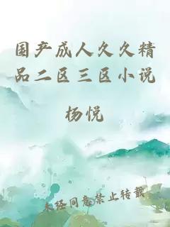 國(guó)產(chǎn)成人久久精品二區(qū)三區(qū)小說