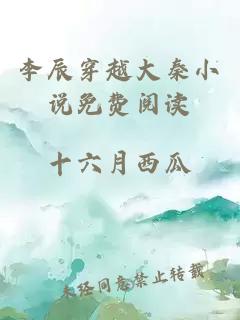 李辰穿越大秦小說(shuō)免費(fèi)閱讀