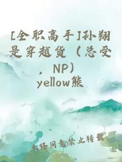 [全職高手]孫翔是穿越貨（總受，NP）