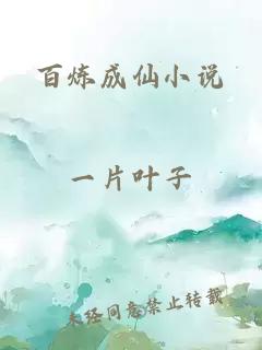 百煉成仙小說