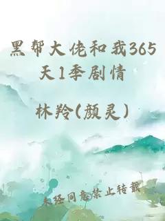 黑幫大佬和我365天1季劇情