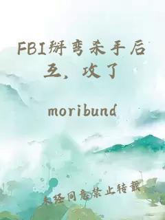 FBI掰彎殺手后互，攻了