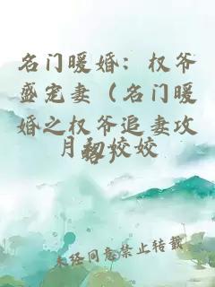 名門暖婚：權(quán)爺盛寵妻（名門暖婚之權(quán)爺追妻攻略）