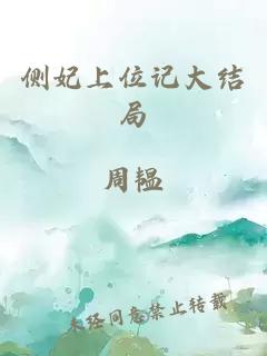 側(cè)妃上位記大結(jié)局
