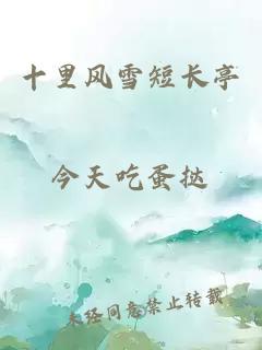 十里風(fēng)雪短長(zhǎng)亭