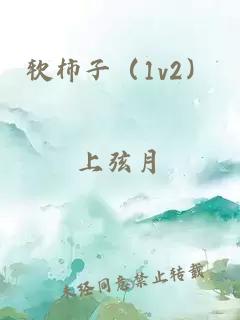 軟柿子（1v2）