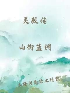 靈毅傳