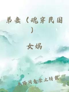 弟妻（魂穿民國）