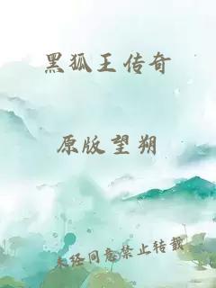 黑狐王傳奇