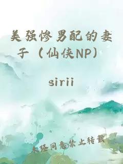 美強(qiáng)慘男配的妻子（仙俠NP）