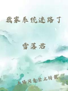 我家系統(tǒng)迷路了