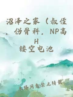 沼澤之家（叔侄，偽骨科，NP高H