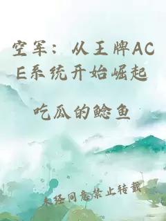 空軍：從王牌ACE系統(tǒng)開始崛起