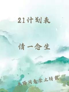 21計(jì)劃表